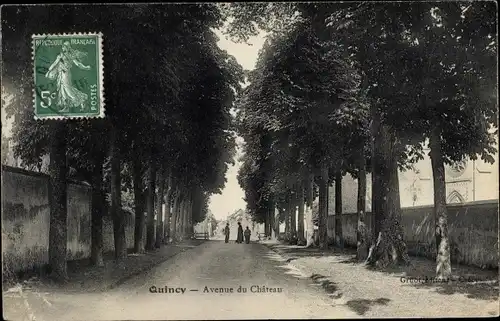 Ak Quincy Seine et Marne, Avenue du Chateau