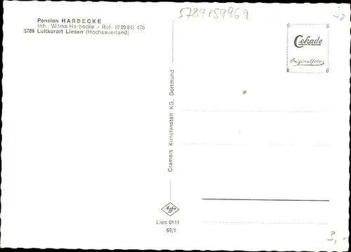 Ak Liesen Hallenberg Sauerland, Pension Harbecke, Teilansichten