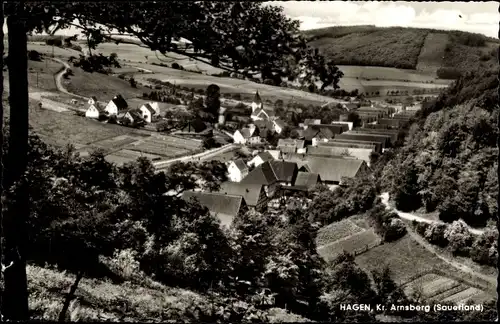 Ak Hagen Kreis Arnsberg im Hochsauerlandkreis, Teilansicht