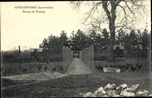 Ak Cour-Cheverny Loir-et-Cher, Elevage de Troussay