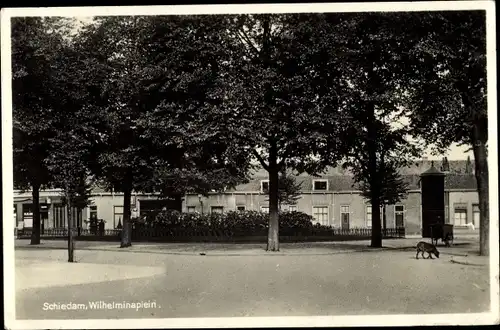 Ak Schiedam Südholland, Wilhelminaplein