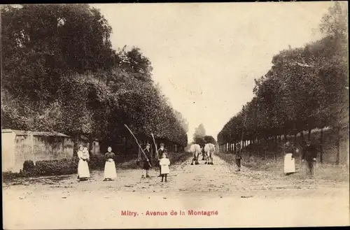 Ak Mitry Seine et Marne, Avenue de la Montagne