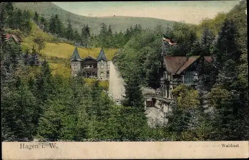 Ak Hagen in Westfalen, Blick auf den Wald