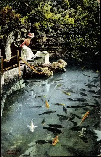 Ak Bermuda, Devil's Hole, Frau betrachtet Fische im teich