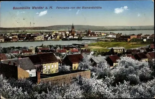 Ak Werder an der Havel, Baumblüte, Panorama, Bismarckshöhe