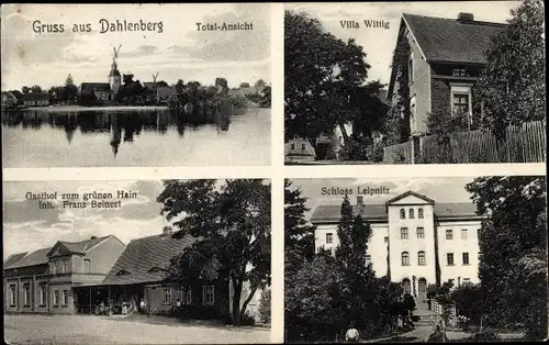 Ak Dahlenberg in der Dübener Heide, Totalansicht, Villa Wittig, Gasthof zum grünen Hain