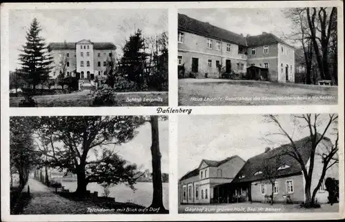 Ak Dahlenberg in der Dübener Heide, Schloss Leipnitz, Gasthof zum grünen Hain