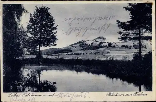 Ak Salzhemmendorf Niedersachsen, Teichpartie