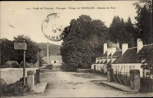 Ak Saint Bonnet Tronçais Allier, Paysages, Avenue du Pont, forêt