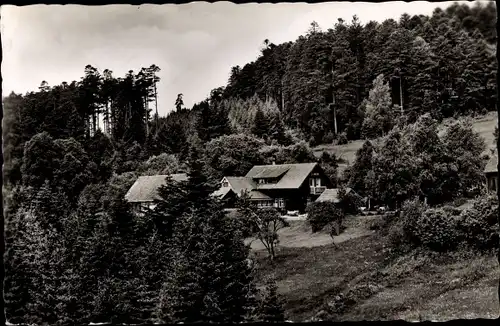 Ak Bad Wildbad im Schwarzwald, Pension und Waldgaststätte "Grünhütte"