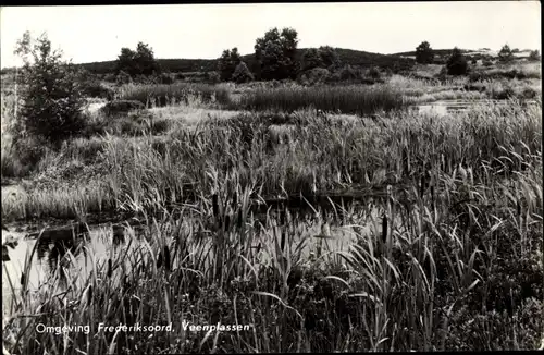 Ak Frederiksoord Drenthe, Veenplassen, Landschaft