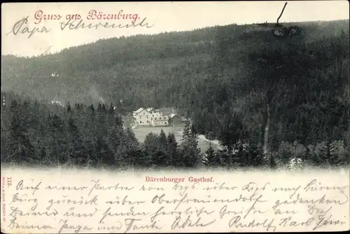 Ak Altenberg Bärenburg Erzgebirge, Gasthof, Wald