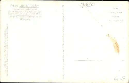 Ak Titisee Neustadt im Breisgau Hochschwarzwald, Hotel Titisee