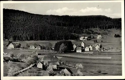 Ak Saig Lenzkirch Baden Württemberg, Ort, Wald