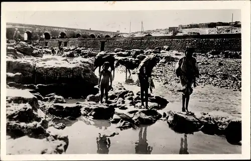 Ak Kasbah Tadla Marokko, Scene sur les rives de l'Oum er Rebia