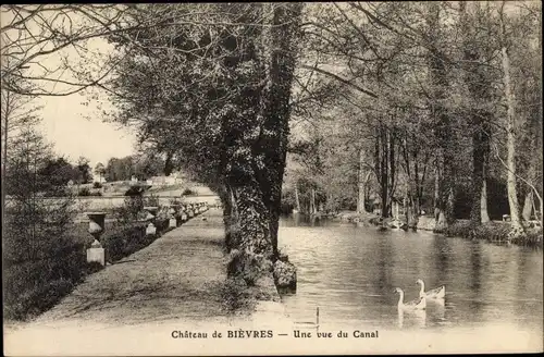 Ak Bièvres Essonnes, Une vue du Canal, Enten