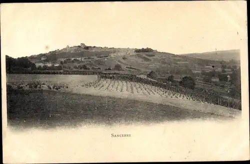 Ak Sancerre Cher, Panorama, Felder