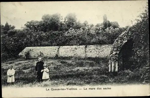 Ak La Queue les Yvelines, La mare des saules