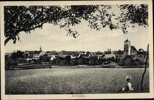 Ak Belgern Schildau Nordsachsen, Panorama