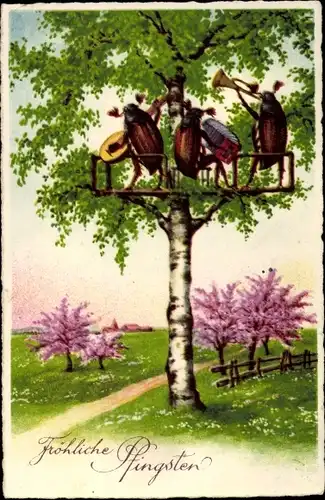 Ak Glückwunsch Pfingsten, Musizierende Maikäfer auf einem Baum