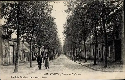 Ak Champigny Yonne, L'Avenue