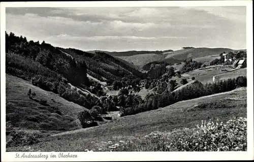 Ak Sankt Andreasberg im Oberharz, Panorama vom Ort