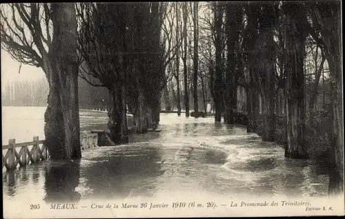 Ak Meaux Seine-et-Marne, Crue de la Marne 26 Janvier 1910, La Promenade des Trinitaires