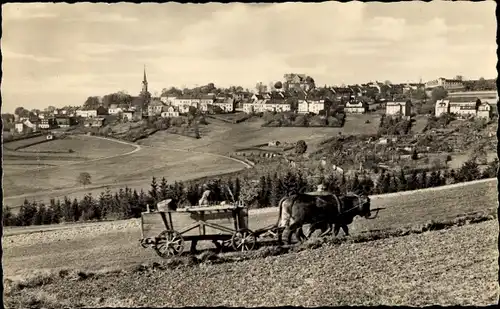 Ak Schöneck im Vogtland, Gesamtansicht, Rinder mit Fuhrwerk