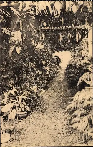 Ak Kisantu DR Kongo Zaire, Jardin d'essais, Serre congolaise, Kasplanten