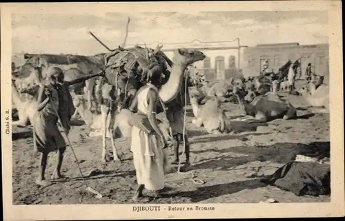 Ak Djibouti Dschibuti, Retour en Brousse, Kamele