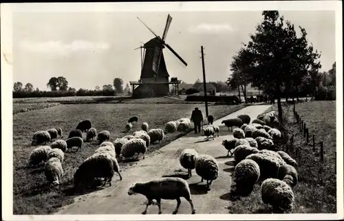 Ak Lochem Gelderland, Schaapherder bij de Zwiepse molen