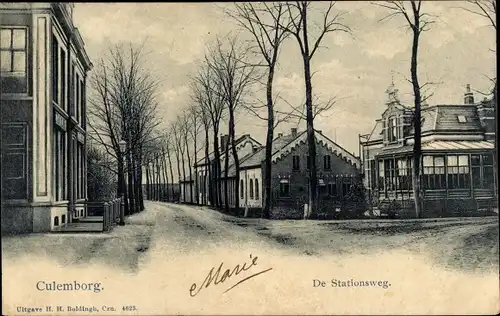 Ak Culemborg Gelderland, De Stationsweg