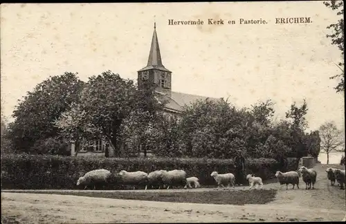 Ak Erichem Gelderland, Hervormde Kerk en Pastorie, Schafe, Kirche