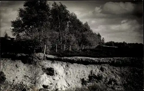 Foto Ak Berkensingel Vaassen Gelderland, Landschaft, Bäume, Wolken