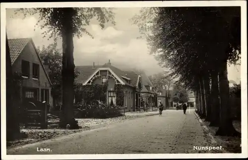 Ak Nunspeet Gelderland Niederlande, Laan, Straßenpartie, Häuser
