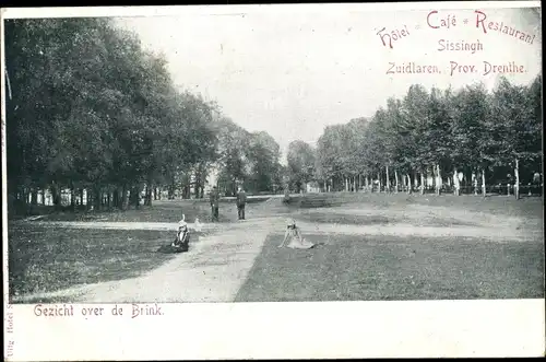 Ak Zuidlaren Drenthe Niederlande, Gezicht over de Brink, Hotel Sissingh