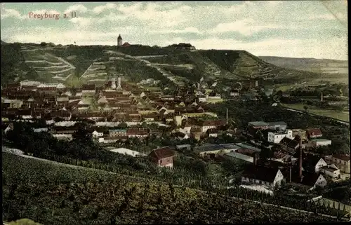 Ak Freyburg an der Unstrut, Ortspanorama, Weinberge