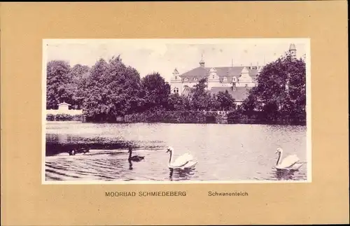 Ak Bad Schmiedeberg in der Dübener Heide, Schwanenteich