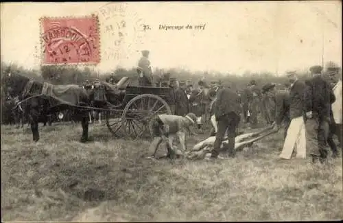 Ak Rambouillet Yvelines, Depecage du cerf apres la chasse