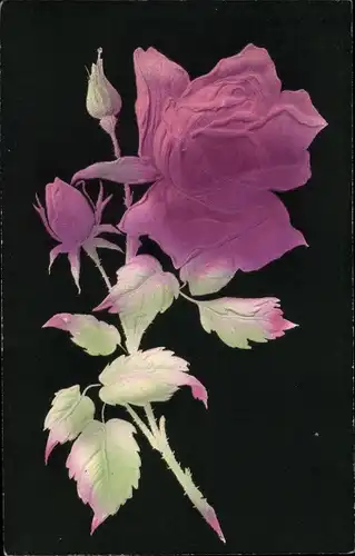 Litho Einzelne Rosenblüte, Knospen