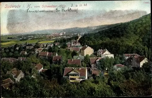 Ak Bad Suderode Quedlinburg im Harz, Gesamtansicht, Schwedderholz