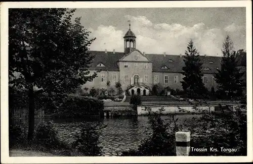 Ak Trossin Dahlenberg in der Dübener Heide, Schloss
