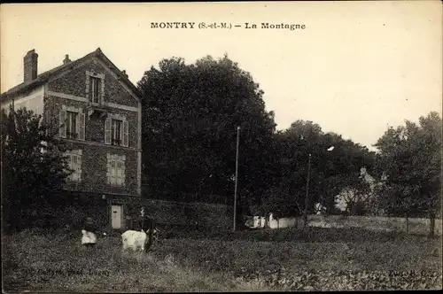 Ak Montry Seine et Marne, La Montagne