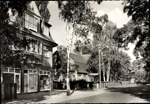 Ak Möser Jerichower Land, Ernst Thälmann Straße