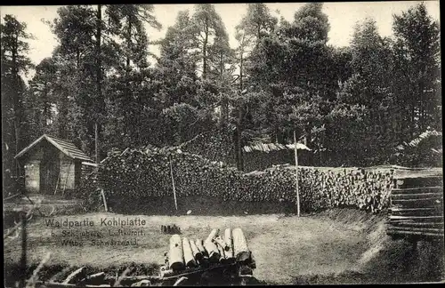 Ak Schömberg Baden Württemberg, Waldpartie Kohlplatte