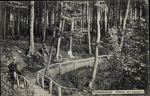 Ak Hüholz Kappeln an der Schlei, Teufelsbrücke