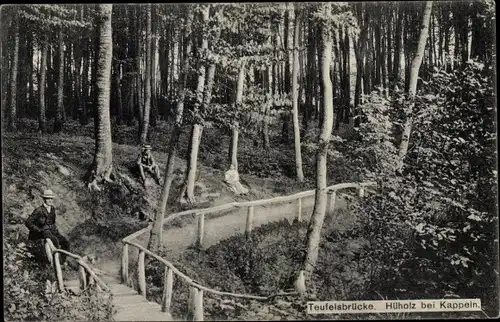 Ak Hüholz Kappeln an der Schlei, Teufelsbrücke