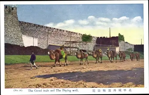 Ak Beijing Peking China, Camel Train, Wall, Kamele