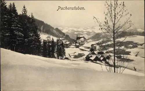 Ak Puchenstuben Niederösterreich, Höhenblick auf die Ortschaft im Winter