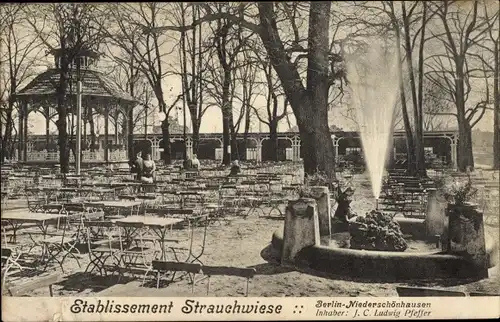 Ak Berlin Pankow Niederschönhausen, Etablissement Strauchwiese